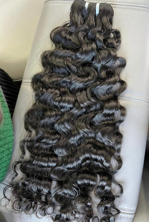 Burmese Curly