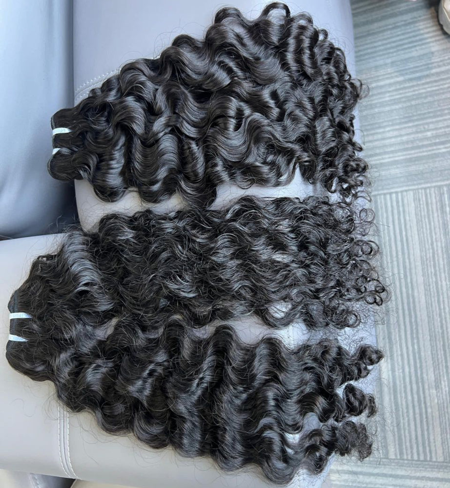 Burmese Curly